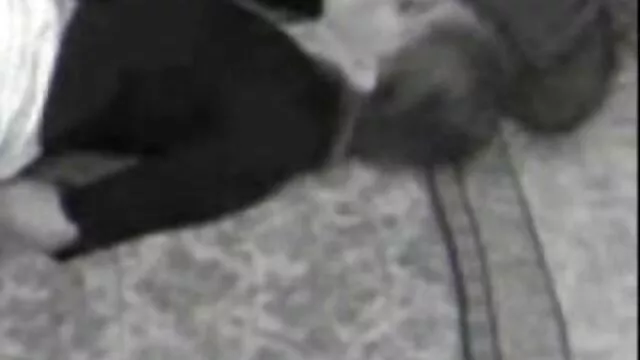 Ενηλίκων χωρίς εγγραφή  Ωραίο σφιχτό δωρεα βιντεο πορνο ξανθό κώλο